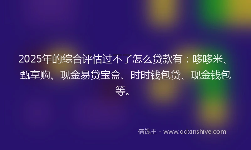 2025年的综合评估过不了怎么贷款有：哆哆米、甄享购、现金易贷宝盒、时时钱包贷、现金钱包等。