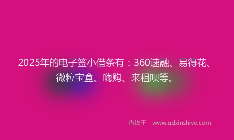 2025年的电子签小借条有：360速融、易得花、微粒宝盒、嗨购、来租呗等。