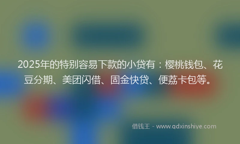 2025年的特别容易下款的小贷有：樱桃钱包、花豆分期、美团闪借、固金快贷、便荔卡包等。