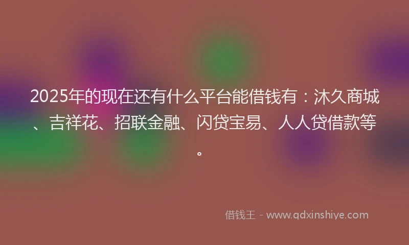 2025年的现在还有什么平台能借钱有：沐久商城、吉祥花、招联金融、闪贷宝易、人人贷借款等。