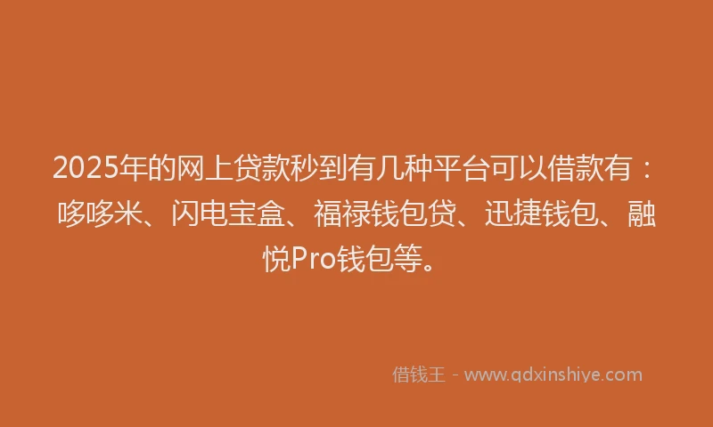 2025年的网上贷款秒到有几种平台可以借款有：哆哆米、闪电宝盒、福禄钱包贷、迅捷钱包、融悦Pro钱包等。