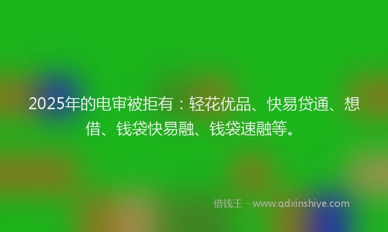 2025年的电审被拒有：轻花优品、快易贷通、想借、钱袋快易融、钱袋速融等。