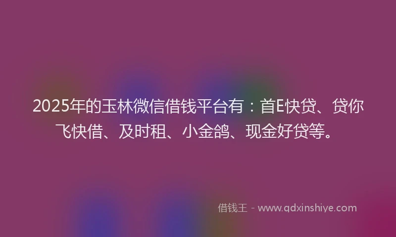 2025年的玉林微信借钱平台有：首E快贷、贷你飞快借、及时租、小金鸽、现金好贷等。