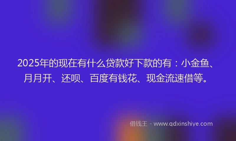 2025年的现在有什么贷款好下款的有：小金鱼、月月开、还呗、百度有钱花、现金流速借等。