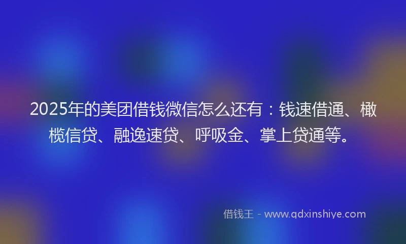 2025年的美团借钱微信怎么还有:钱速借通、橄榄信贷、融逸速贷、呼吸金、掌上贷通等。