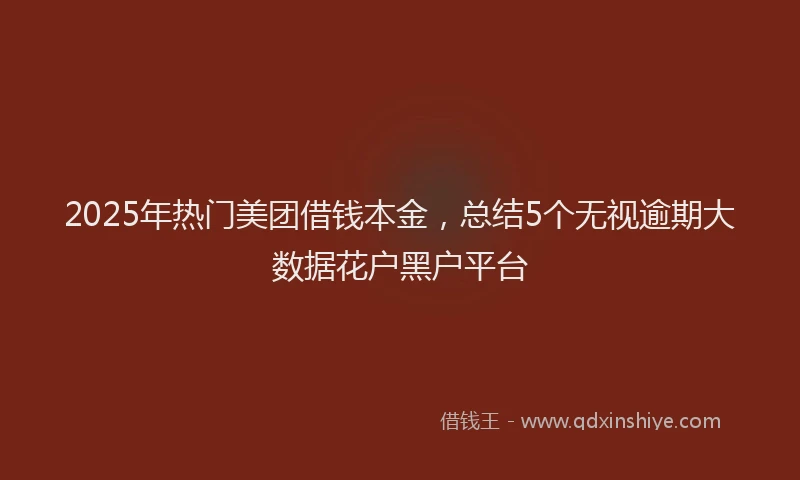2025年热门美团借钱本金，总结5个无视逾期大数据花户黑户平台