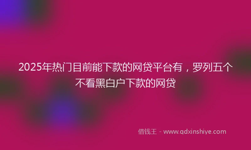 2025年热门目前能下款的网贷平台有，罗列五个不看黑白户下款的网贷