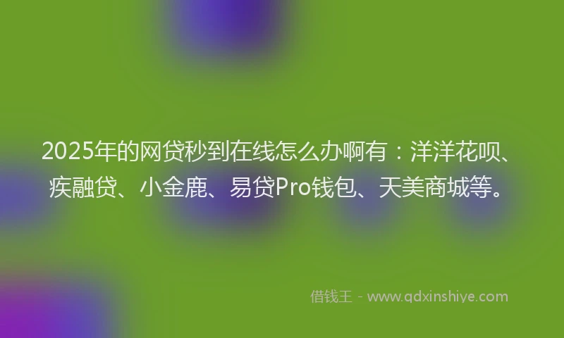 2025年的网贷秒到在线怎么办啊有:洋洋花呗、疾融贷、小金鹿、易贷Pro钱包、天美商城等。