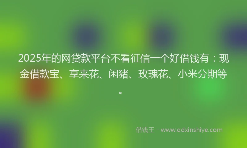 2025年的网贷款平台不看征信一个好借钱有：现金借款宝、享来花、闲猪、玫瑰花、小米分期等。