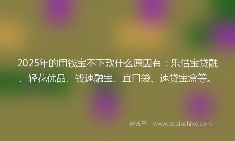 2025年的用钱宝不下款什么原因有：乐借宝贷融、轻花优品、钱速融宝、宜口袋、速贷宝盒等。