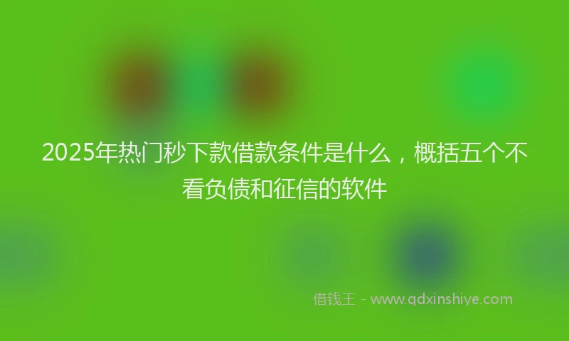 2025年热门秒下款借款条件是什么,概括五个不看负债和征信的软件