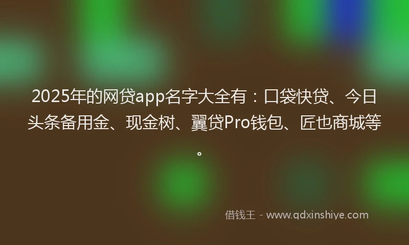 2025年的网贷app名字大全有：口袋快贷、今日头条备用金、现金树、翼贷Pro钱包、匠也商城等。