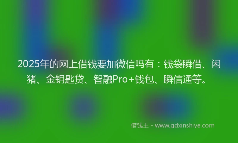 2025年的网上借钱要加微信吗有：钱袋瞬借、闲猪、金钥匙贷、智融Pro+钱包、瞬信通等。
