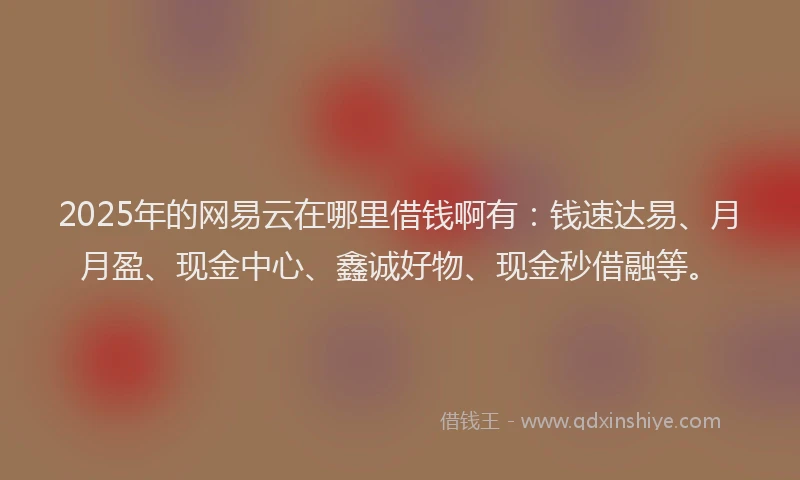 2025年的网易云在哪里借钱啊有：钱速达易、月月盈、现金中心、鑫诚好物、现金秒借融等。