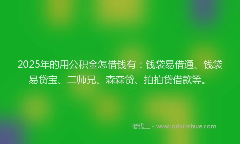 2025年的用公积金怎借钱有：钱袋易借通、钱袋易贷宝、二师兄、森森贷、拍拍贷借款等。