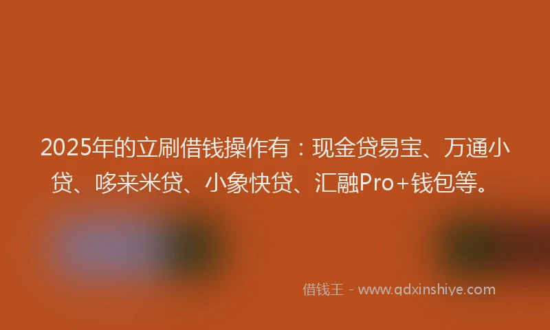 2025年的立刷借钱操作有:现金贷易宝、万通小贷、哆来米贷、小象快贷、汇融Pro+钱包等。