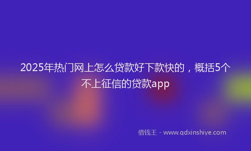 2025年热门网上怎么贷款好下款快的，概括5个不上征信的贷款app