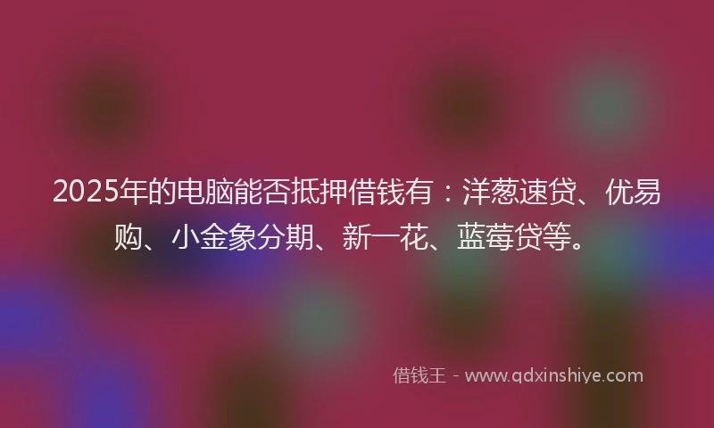 2025年的电脑能否抵押借钱有：洋葱速贷、优易购、小金象分期、新一花、蓝莓贷等。