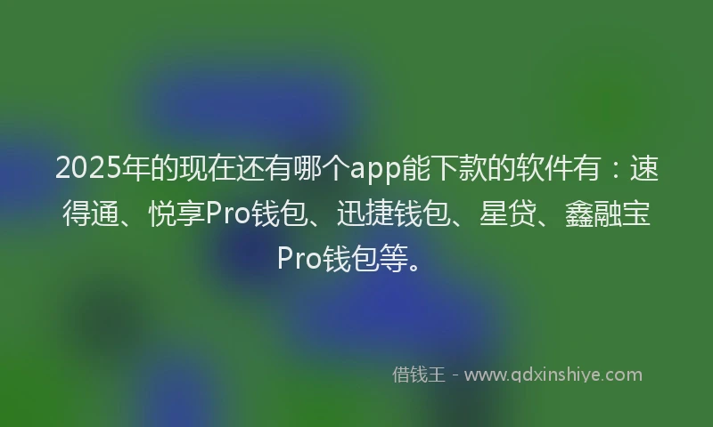 2025年的现在还有哪个app能下款的软件有：速得通、悦享Pro钱包、迅捷钱包、星贷、鑫融宝Pro钱包等。