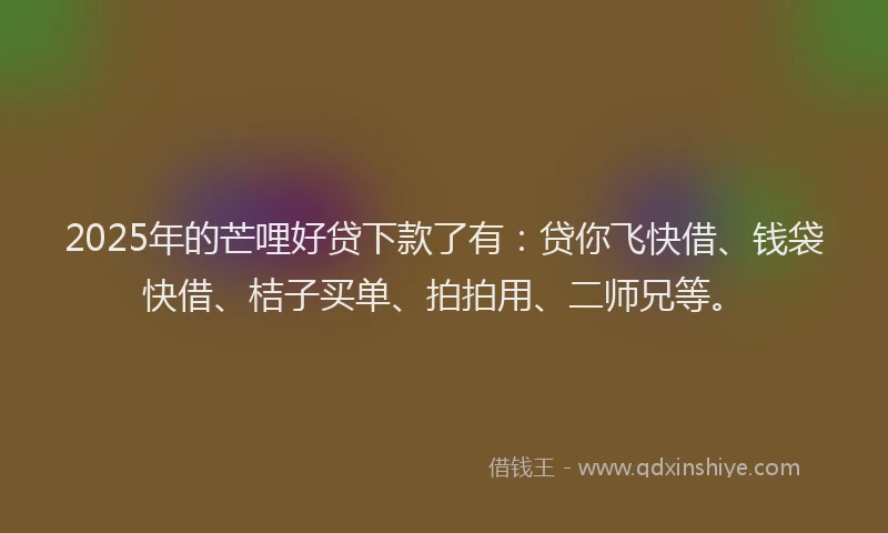 2025年的芒哩好贷下款了有：贷你飞快借、钱袋快借、桔子买单、拍拍用、二师兄等。