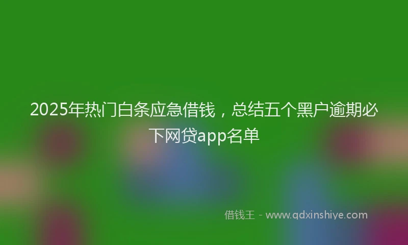 2025年热门白条应急借钱,总结五个黑户逾期必下网贷app名单