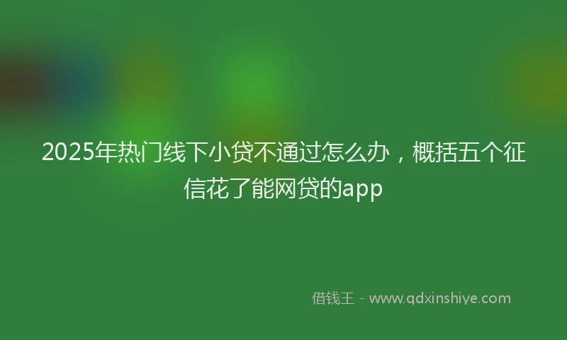 2025年热门线下小贷不通过怎么办，概括五个征信花了能网贷的app