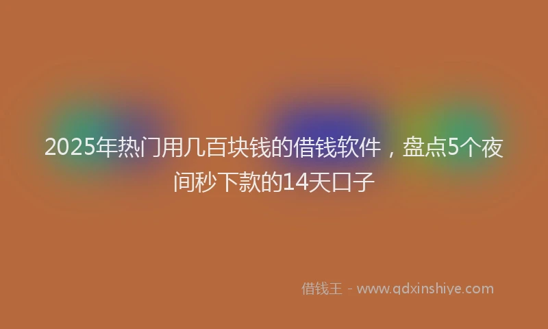 2025年热门用几百块钱的借钱软件，盘点5个夜间秒下款的14天口子