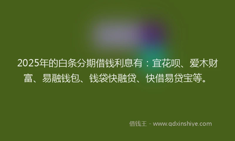 2025年的白条分期借钱利息有：宜花呗、爱木财富、易融钱包、钱袋快融贷、快借易贷宝等。