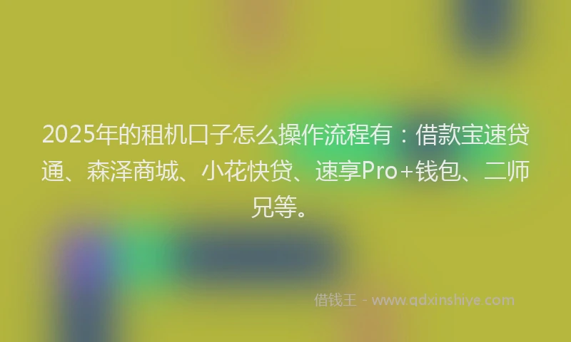 2025年的租机口子怎么操作流程有：借款宝速贷通、森泽商城、小花快贷、速享Pro+钱包、二师兄等。