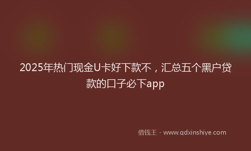2025年热门现金U卡好下款不，汇总五个黑户贷款的口子必下app