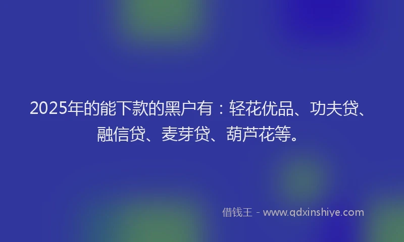 2025年的能下款的黑户有:轻花优品、功夫贷、融信贷、麦芽贷、葫芦花等。