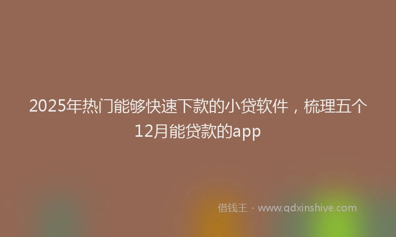 2025年热门能够快速下款的小贷软件，梳理五个12月能贷款的app