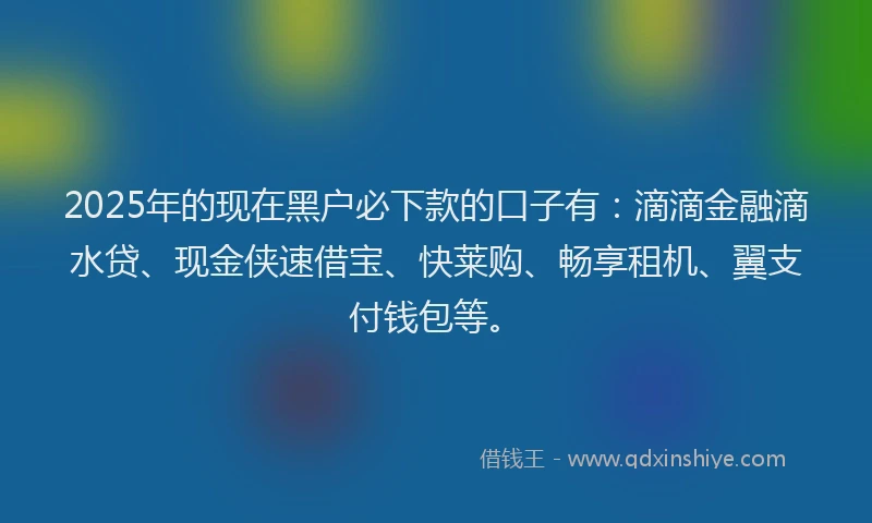 2025年的现在黑户必下款的口子有:滴滴金融滴水贷、现金侠速借宝、快莱购、畅享租机、翼支付钱包等。