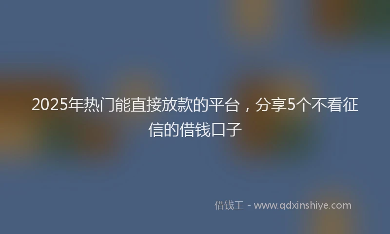 2025年热门能直接放款的平台,分享5个不看征信的借钱口子