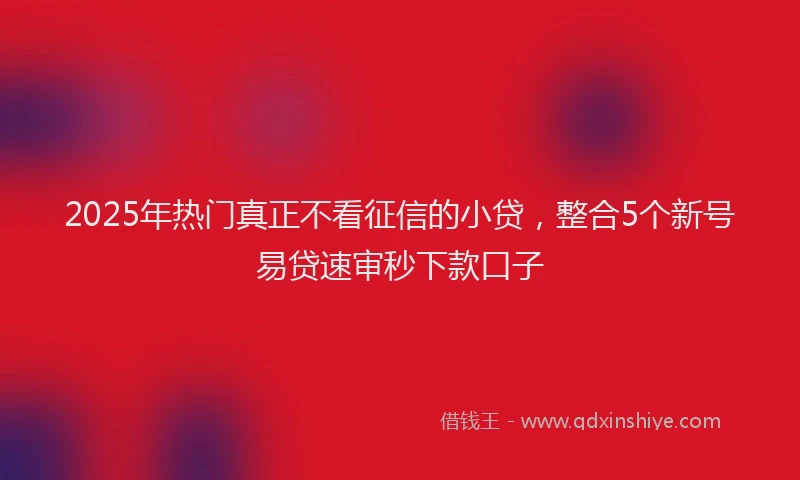 2025年热门真正不看征信的小贷,整合5个新号易贷速审秒下款口子