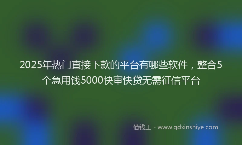 2025年热门直接下款的平台有哪些软件，整合5个急用钱5000快审快贷无需征信平台
