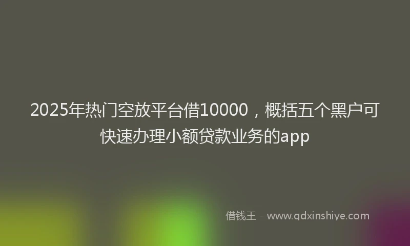 2025年热门空放平台借10000，概括五个黑户可快速办理小额贷款业务的app