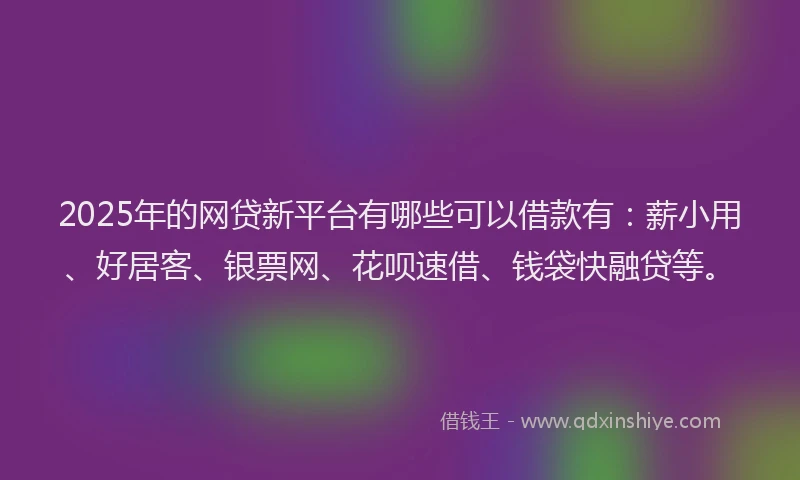 2025年的网贷新平台有哪些可以借款有：薪小用、好居客、银票网、花呗速借、钱袋快融贷等。