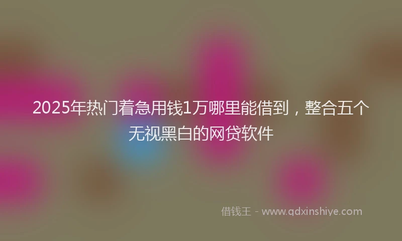 2025年热门着急用钱1万哪里能借到，整合五个无视黑白的网贷软件