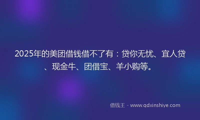 2025年的美团借钱借不了有:贷你无忧、宜人贷、现金牛、团借宝、羊小购等。