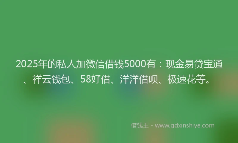 2025年的私人加微信借钱5000有：现金易贷宝通、祥云钱包、58好借、洋洋借呗、极速花等。