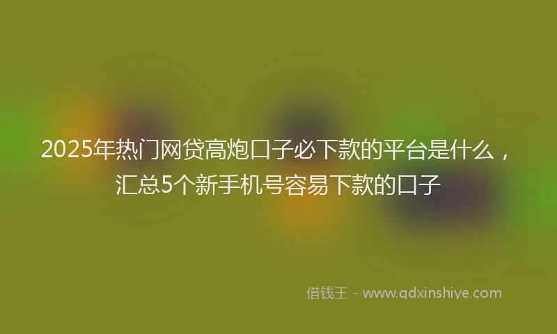 2025年热门网贷高炮口子必下款的平台是什么，汇总5个新手机号容易下款的口子