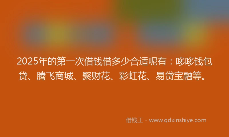 2025年的第一次借钱借多少合适呢有:哆哆钱包贷、腾飞商城、聚财花、彩虹花、易贷宝融等。