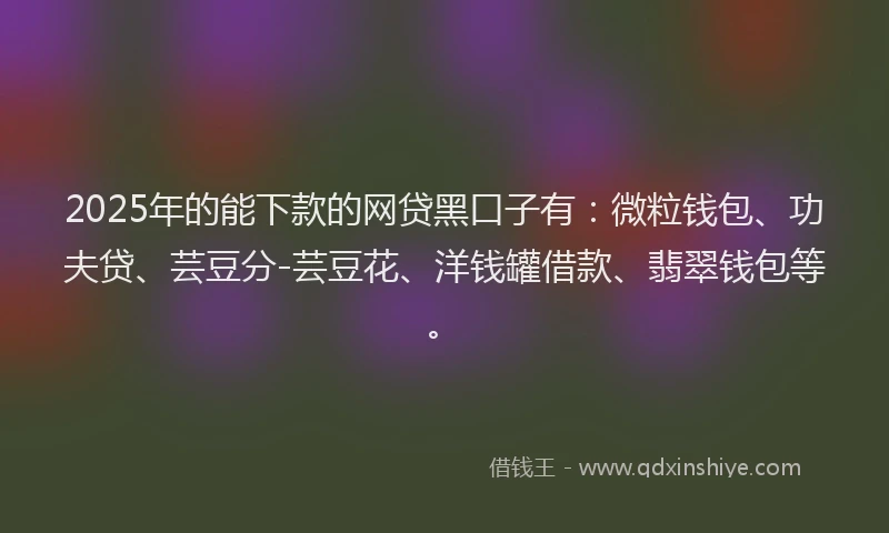 2025年的能下款的网贷黑口子有：微粒钱包、功夫贷、芸豆分-芸豆花、洋钱罐借款、翡翠钱包等。