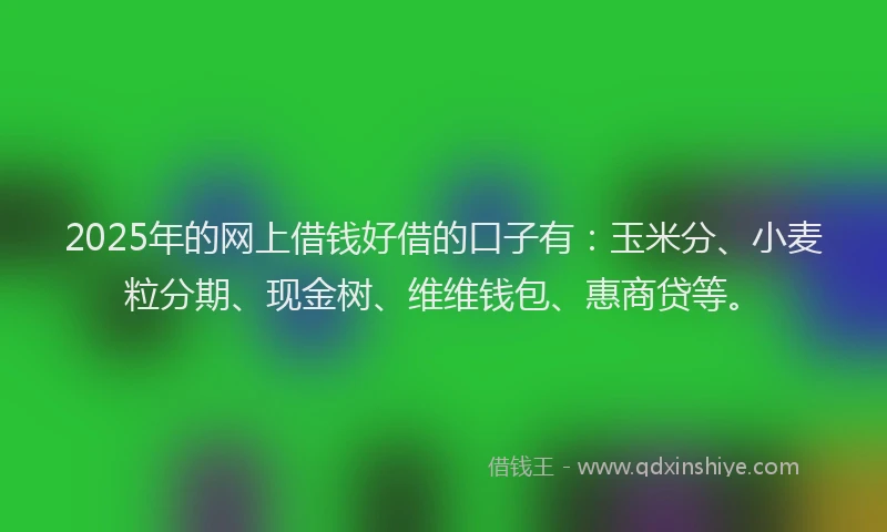 2025年的网上借钱好借的口子有：玉米分、小麦粒分期、现金树、维维钱包、惠商贷等。