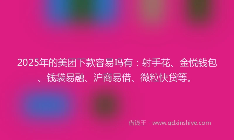 2025年的美团下款容易吗有:射手花、金悦钱包、钱袋易融、沪商易借、微粒快贷等。