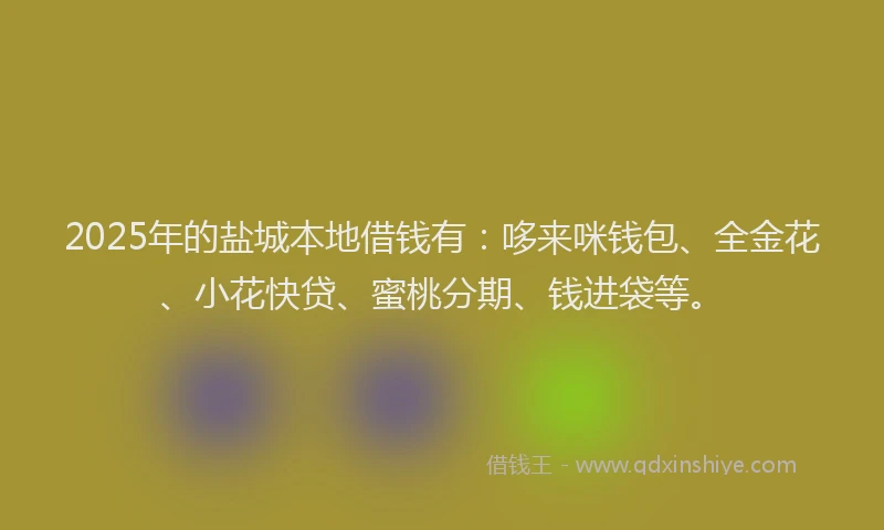 2025年的盐城本地借钱有：哆来咪钱包、全金花、小花快贷、蜜桃分期、钱进袋等。