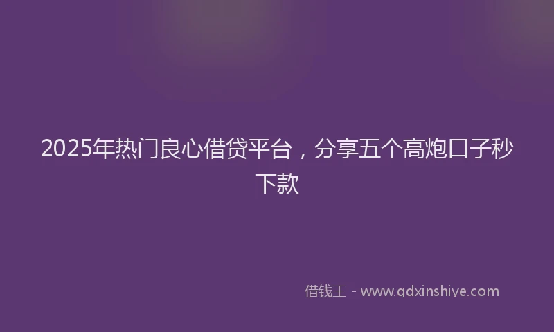 2025年热门良心借贷平台，分享五个高炮口子秒下款