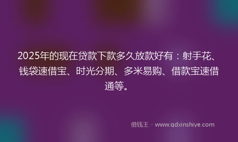 2025年的现在贷款下款多久放款好有：射手花、钱袋速借宝、时光分期、多米易购、借款宝速借通等。