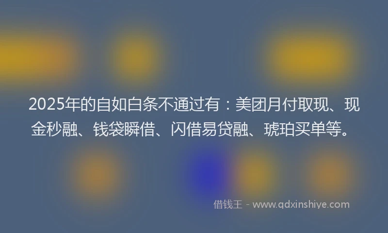 2025年的自如白条不通过有:美团月付取现、现金秒融、钱袋瞬借、闪借易贷融、琥珀买单等。